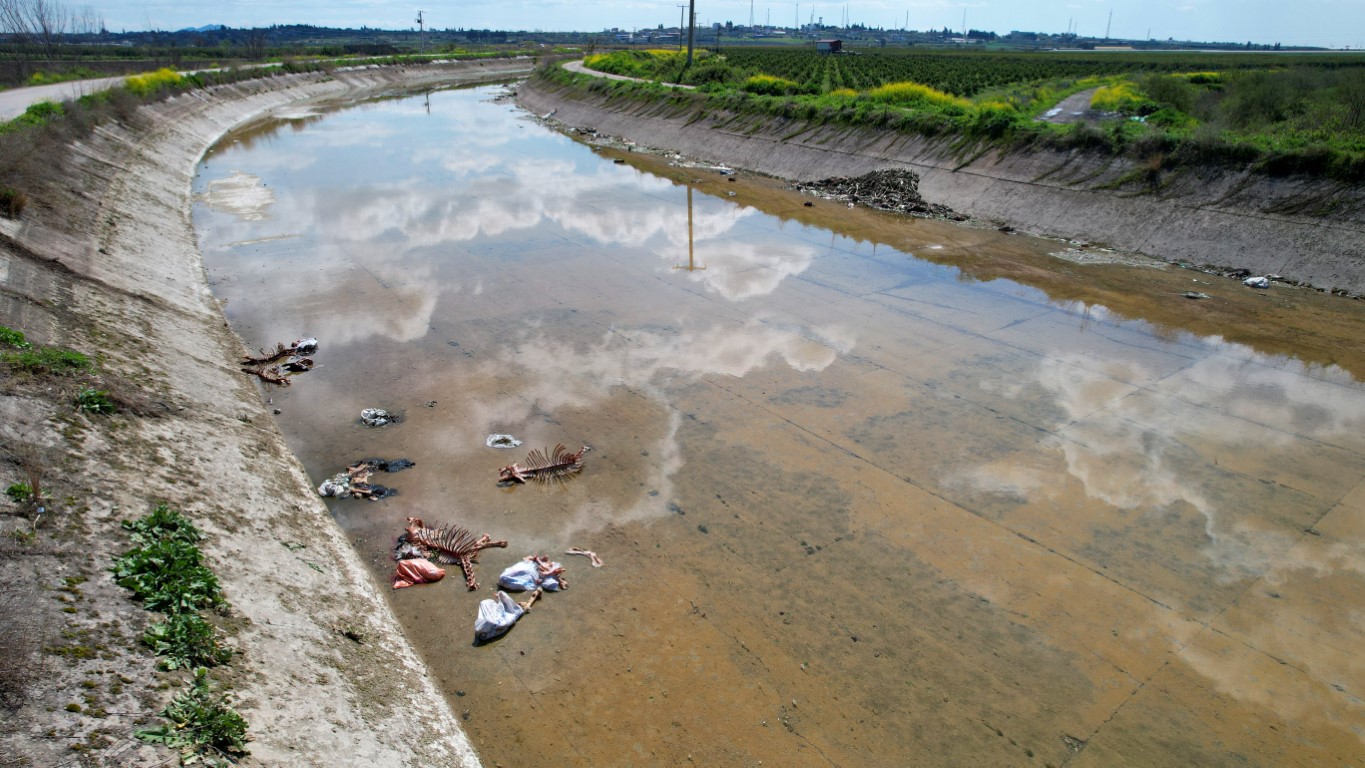 Türkiye Bu Görüntüleri Konuşuyor: At ve Eşek Eti...