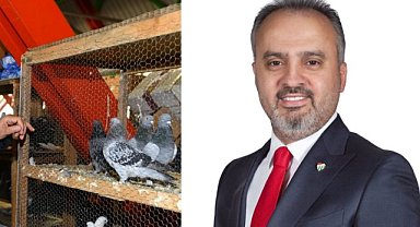 Başkan Aktaş'tan Kuş Sevenlere Pazar Müjdesi!