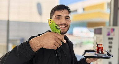 Çay Servisi Yapan İbiş Fenomen Oldu