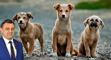 Civanoğlu'ndan Adaylara Büyük Öneri 