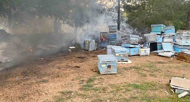 Datça'da orman yangını: Arı kovanları yandı