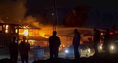 Dörtyol'daki yangında sahilde 3 baraka kül oldu