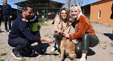 Gökhan Dinçer'den Mudanya'daki Sokak Hayvanlarına Destek Sözü