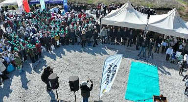 Gönüllü Öğrenciler 1000 Kızıkçamı Toprakla Buluşturdu