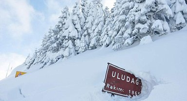 Kuralların Tanınmadığı Sarıalan Yine Bildiğiniz Gibi!