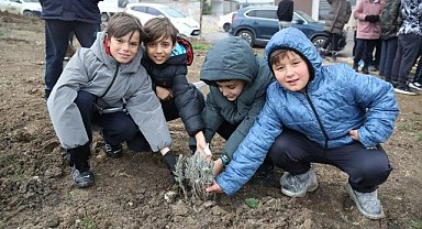 Minik Eller Fidan Dikti