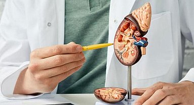 Ramazan’da Böbrek Sağlığını Koruma Rehberi