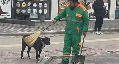 Temizlik Görevlisiyle Köpek Arasında Yaşananlar Tebessüm Ettirdi