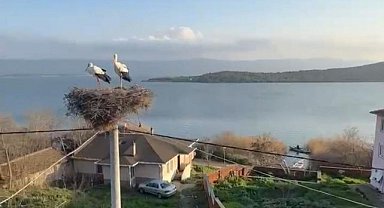 Yaren Leylek’in Eşi Nazlı da Geldi