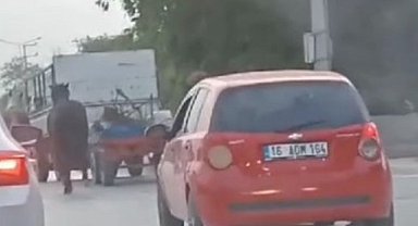 Bursa’da atlara eziyet eden sürücü ‘pes’ dedirtti