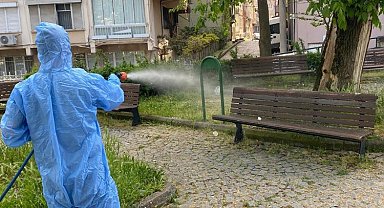 Bursa Osmangazi'den çevre dostu ilaçlama