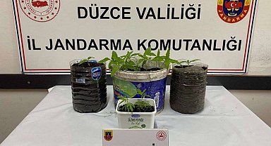 Düzce Jandarması'ndan uyuşturucu operasyonu
