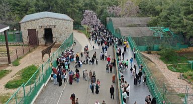 Gaziantep Doğal Yaşam Parkı'na akın ettiler