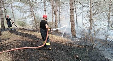 Havza'daki orman yangını hızlı müdahaleyle söndürüldü