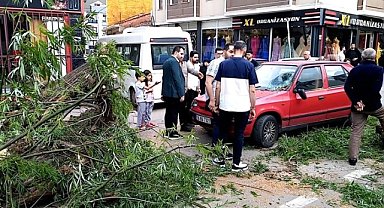 İnegöl'de ağacın o anı otomobile denk geldi