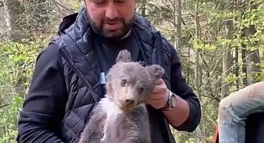 İnegöl'de ormandan gelen yavru ayıya ilgi