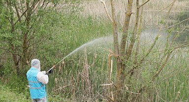 İzmit Belediyesi halk sağlığı için ilaçlama çalışmalarını sürdürüyor 