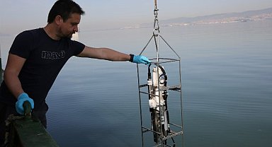 İzmit Körfezi'nde biyoçeşitlilik araştırılıyor