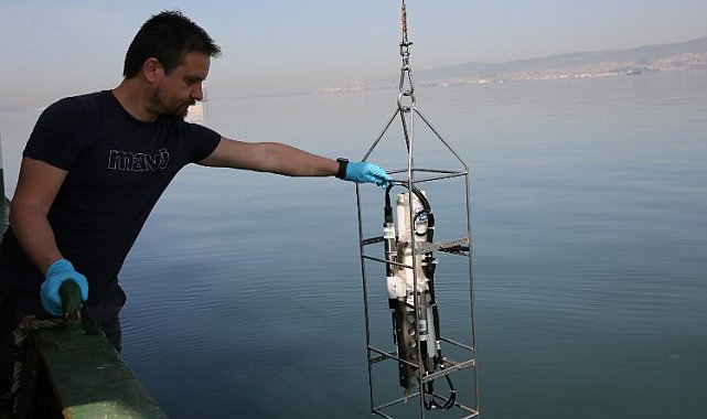İzmit Körfezi'nde biyoçeşitlilik araştırılıyor