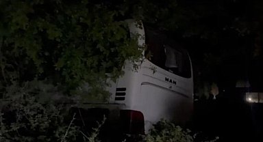 Kontrolü Kaybetti, Ağaçlara Çarparak Durabildi