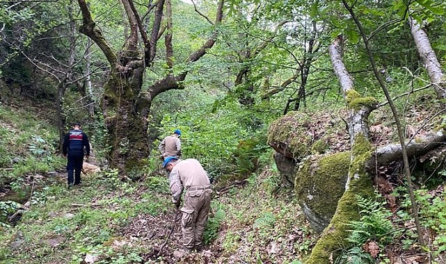 Korhan Berzeg'i arama çalışmasında yeni gelişme