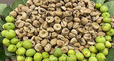 Kuru incir rotasını Kuzey Amerika'ya kırdı