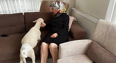 Kuzu Mercan’a evde bebek gibi bakım