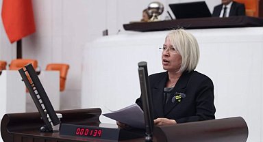 Milletvekili Nurten Yontar, Emekliler Yılı'nda emekliler açlıkla savaşa terk edilmemeli