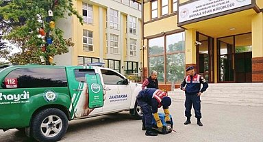 Mudanya'da jandarmadan yaralı leyleğe yardım eli