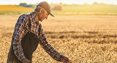 Tarımsal girdiler artışta... Veteriner harcamaları revaçta