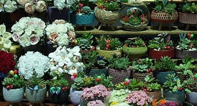 Bursa'da çiçekçiler anneler gününe hazır! 