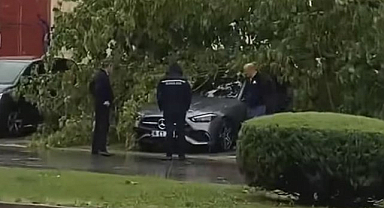 Bursa'da fırtına ve yıldırım ağaçlara zarar verdi