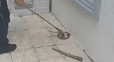 Bursa'da site sakinlerini korkutan anlar! 