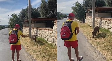 Bursa'da yaban domuzunu böyle besledi 