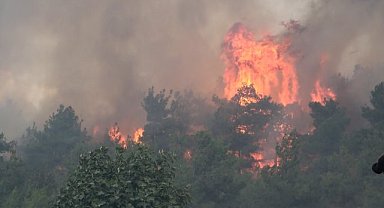 Bursalılar dikkat! Ormanda piknik yasaklandı