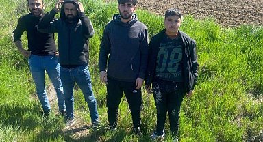 Edirne'de 4 göçmen yakalandı!