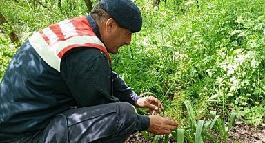 Edirne'nin sümbülü ve göçmen kuşlarına Jandarma kalkanı