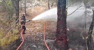 Haliliye ilçesinde ormanlık bölgede yangın