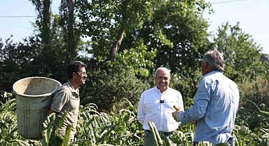 Nilüfer'de Başkan Özdemir, enginar üreticileriyle buluştu