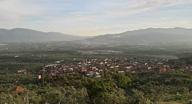 Orhangazi'de mahalle muhtarından uyuz vakaları uyarısı