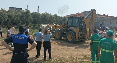 Osmangazi'de başıboş atlar toplandı 
