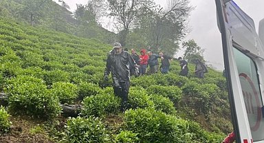 Rize'de çay toplarken düşen şahıs yaralandı