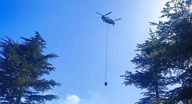 Adana'daki orman yangınında soğutma çalışması başlatıldı