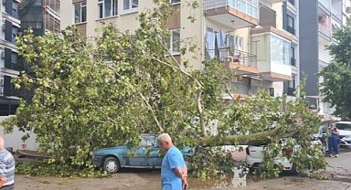 Antalya'da felaket filmi senaryosu 15 dakika sürdü!