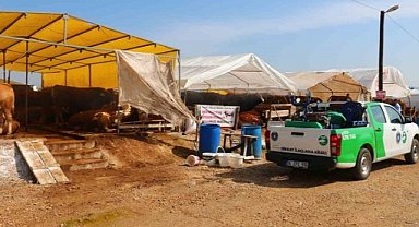 Bursa Büyükşehir'den Kurban Bayramı hazırlıkları başladı