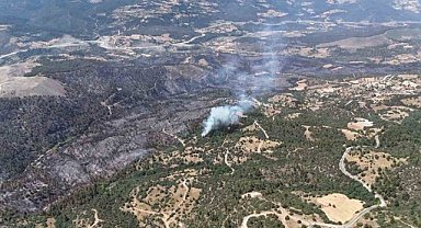 Bursa'da ormanlık alandaki yangın artık kontrol altında