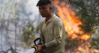 Bursa'daki orman yangını 8 saat sonra durduruldu