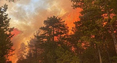 Bursa'daki orman yangınına çok sayıda ekipten müdahale!