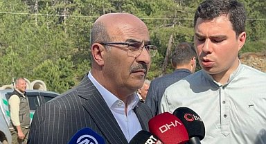 Bursa Valisi Demirtaş'tan orman yangını açıklamaları