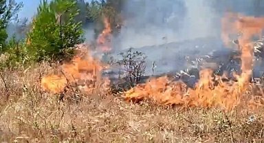 Büyükorhan'daki tarım arazisinde anız yangını söndürüldü